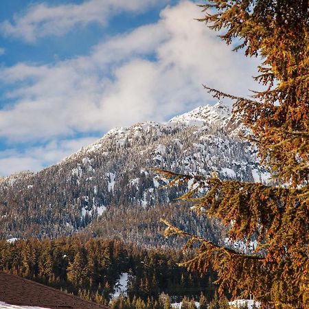 Updated Whistler Creek Studio With Parking Γουίστλερ Εξωτερικό φωτογραφία
